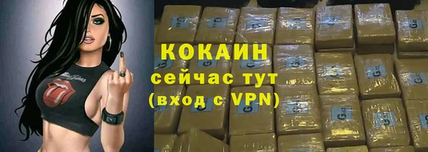 ГАЛЛЮЦИНОГЕННЫЕ ГРИБЫ Белокуриха