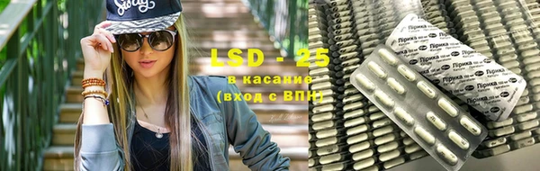 ГАЛЛЮЦИНОГЕННЫЕ ГРИБЫ Белокуриха