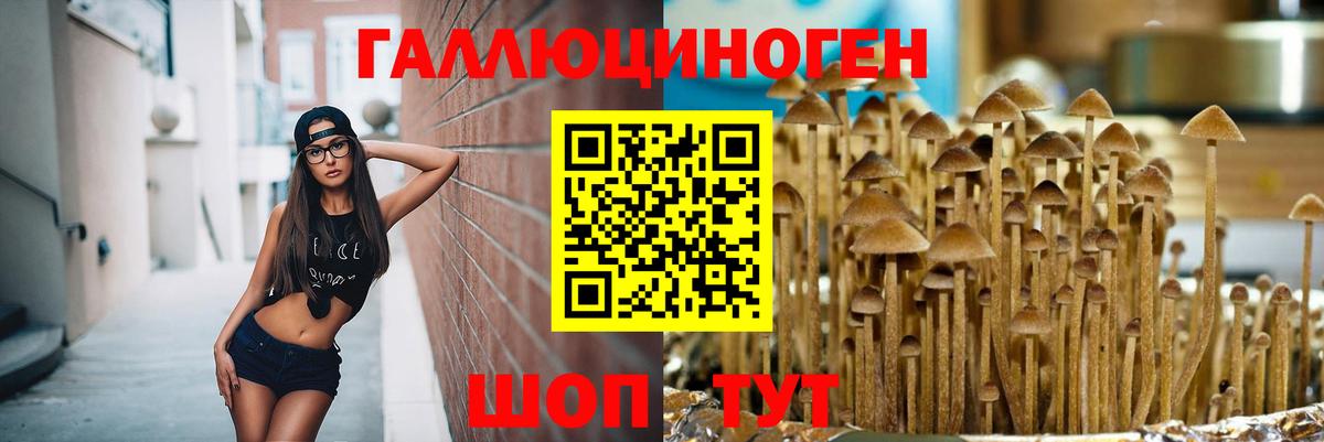 Галлюциногенные грибы Cubensis  Вход с VPN  где продают   Губкинский 