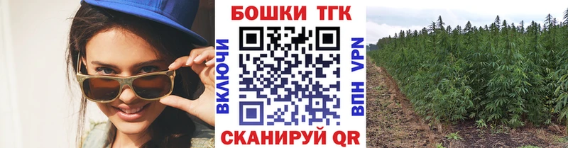 Бошки марихуана сатива дарк нет телеграм Губкинский