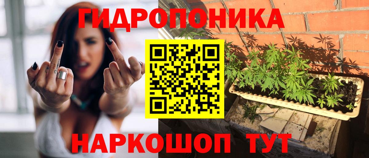 Каннабис план  МАРИХУАНА план  Бошки марихуана тримм  Марихуана Ganja  Вход с VPN  Губкинский 